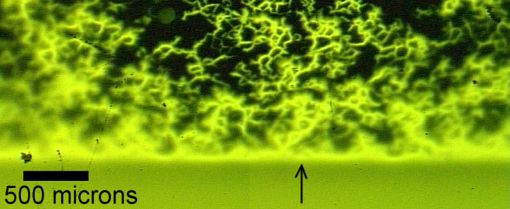 Magneto-optical image of a 3.3 mm wide YBCO on RABiTS coated conductor