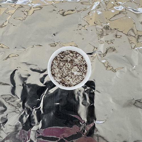 On the right, the thin brown lines are krill poop.