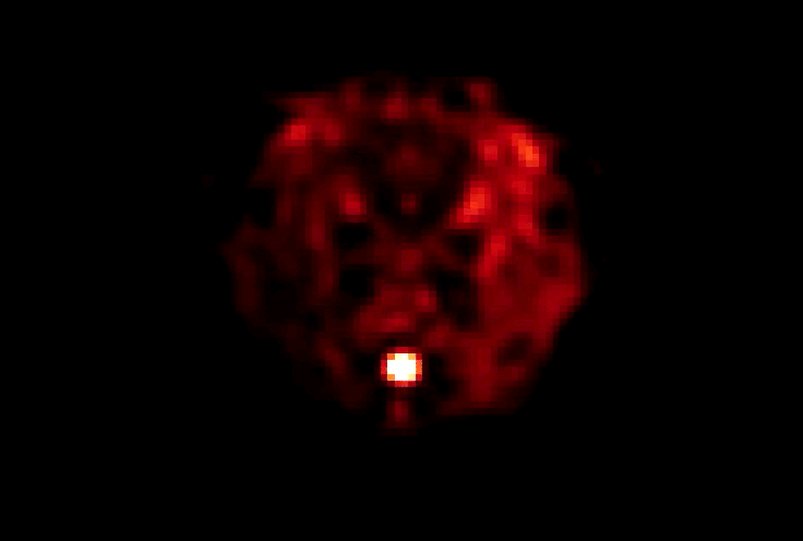 This series of images, obtained with the MagLab's 21.1-tesla MRI scanner, display mostly extracellular sodium in different sections through the rat's brain at 0.5-mm resolution.