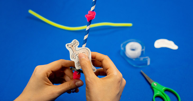 Attach one of the animal pictures on the top magnet