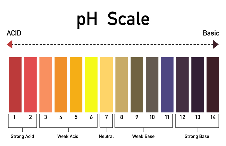 pH Scale